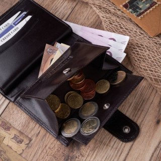Portfel męski skórzany z ochroną RFID Paolo Peruzzi T-14-BR
