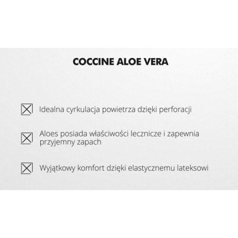 R. 36-46 - Wkładka do butów aloesowa zapachowa przeciwpotna Coccine R. 36-46 - Wkładka do butów aloesowa zapachowa przeciwpotna Coccine