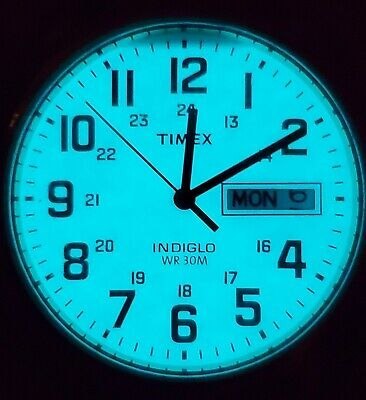 ZEGAREK MĘSKI TIMEX Expedition Scout TW4B23100 + BOX ZEGAREK MĘSKI TIMEX Expedition Scout TW4B23100 + BOX