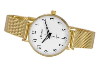 ZEGAREK DAMSKI ALBATROSS ABBC16 (za543b) gold / white