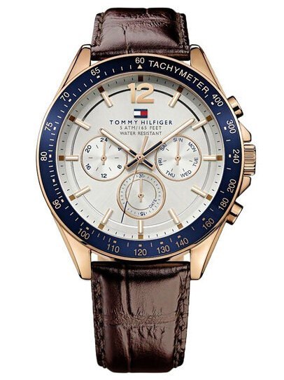 ZEGAREK MĘSKI TOMMY HILFIGER 1791118 (zf066a) ZEGAREK MĘSKI TOMMY HILFIGER 1791118 (zf066a)