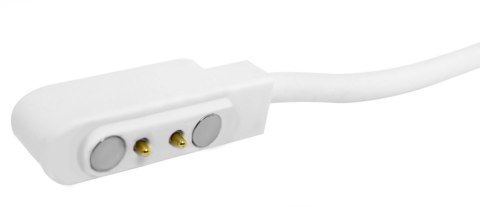 Kabel ładujący do Smartwatcha GIEWONT GW230 GW330 GW460 2,5 mm GWK6 Kabel ładujący do Smartwatcha GIEWONT GW230 GW330 GW460 2,5 mm GWK6