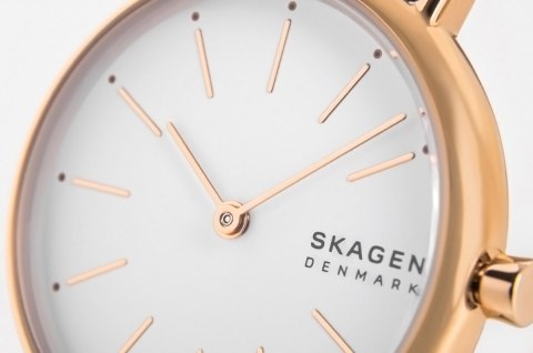 Zegarek Damski Skagen Signatur SKW2838 + BOX Zegarek Damski Skagen Signatur SKW2838 + BOX