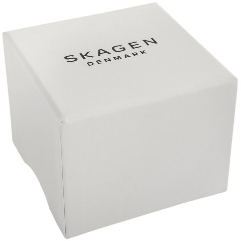 Zegarek Męski Skagen Signatur SKW6902 + BOX Zegarek Męski Skagen Signatur SKW6902 + BOX